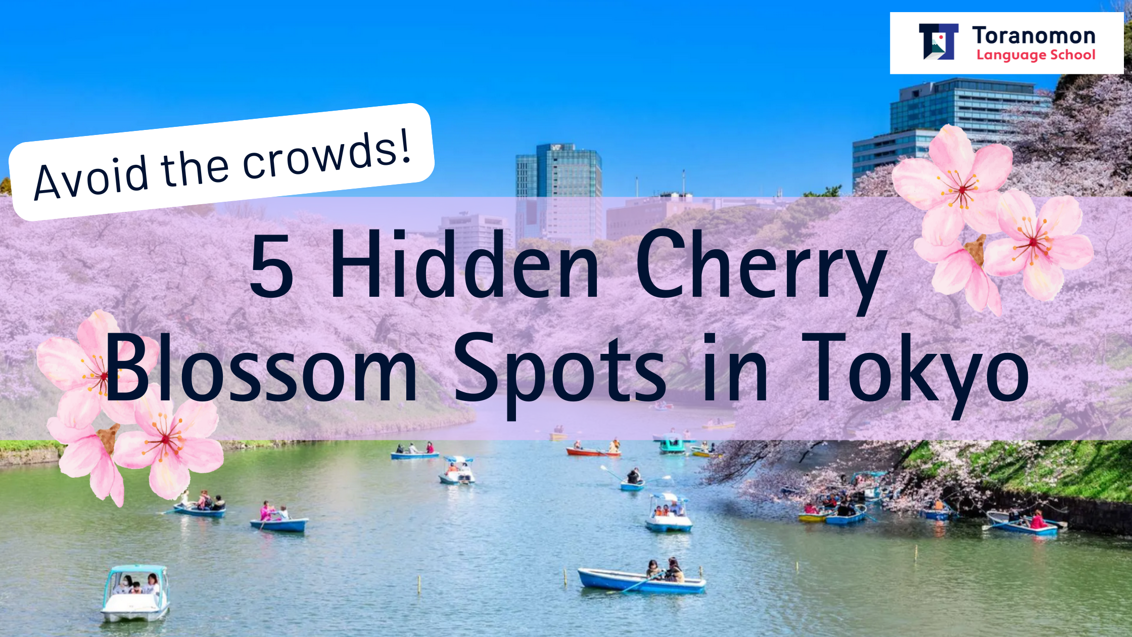 5 Hidden Cherry Blossoms Spots in Tokyo to Avoid the Crowds